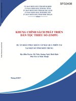 Khung chính sách phát triển dân tộc thiểu số (vietnamese) 