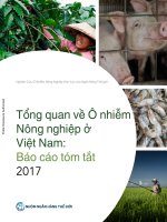 An overview of agricultural pollution in vietnam summary report 2017 (vietnamese) 