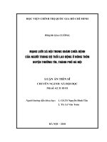 Mạng lưới xã hội trong khám chữa bệnh của người trong độ tuổi lao động ở nông thôn huyện Thường Tín, thành phố Hà Nội (Luận án tiến sĩ)