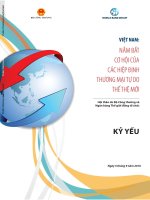 Việt nam – nnắm bắt cơ hội của các hiệp định thương mại tự do thế giới mới (vietnamese) 