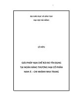 Giải pháp hạn chế rủi ro tín dụng tại Ngân hàng TMCP Nam Á – Chi nhánh Nha Trang