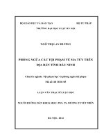 Phòng ngừa các tội phạm về ma túy trên địa bàn tỉnh bắc ninh 