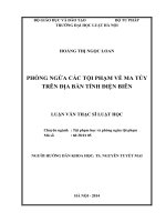 Phòng ngừa các tội phạm về ma túy trên địa bàn tỉnh điện biên  