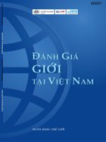 Vietnam   country gender assessment  danh gia gioi tai viet nam (vietnamese) 