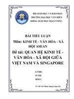 QUAN HỆ KINH TẾ    VĂN HÓA  XÃ HỘI GIỮA VIỆT NAM VÀ SINGAPORE (tiểu luận)
