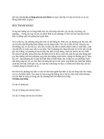 TẢ cây có BÓNG mát