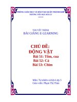 Mẫu thuyết minh bài giảng Elearning  Môn tự nhiên xã hội lớp 3 (Tôn, Cua, Cá)