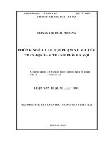 Phòng ngừa các tội phạm về ma túy trên địa bàn thành phố hà nội  