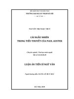 Cái ngẫu nhiên trong tiểu thuyết của Paul Auster (LA tiến sĩ)