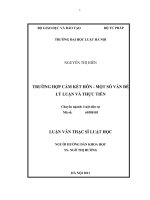 Trường hợp cấm kết hôn   một số vấn đề lý luận và thực tiễn  