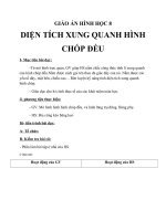 Giáo án Hình học 8 chương 4 bài 8: Diện tích xung quanh của hình chóp đều