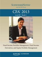 CFA level 3 study note book3 2013 