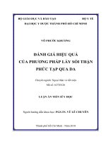 Đánh giá hiệu quả phương pháp lấy sỏi thận phức tạp qua da (Luận án tiến sĩ)