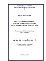 Phát triển dịch vụ ngân hàng dành cho khách hàng cao cấp tại các ngân hàng thương mại ở Việt Nam (Luận án tiến sĩ)