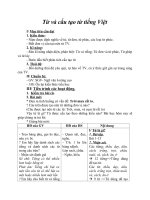 Từ và cấu tạo từ tiếng việt