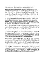 NGHỊ LUẬN xã hội về RỪNG MANG lại lợi ÍCH CHO CON NGƯỜIRỪNG MANG lại lợi ÍCH CHO CON NGƯỜI