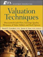 Valuation techniques discounted cash flow earnings quality measures of value added and real options 