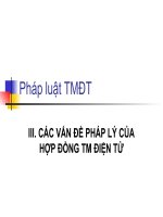 Slide bài giảng môn Luật Thương mại điện tử: Chương 3