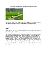 Bài văn nói về quê hương em được nhiều người tìm đọc