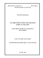 Các biện pháp cưỡng chế thi hành nghĩa vụ trả tiền  