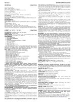 Brunei Darussalam txt