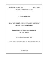 Hoạt động phê chuẩn của viện kiểm sát trong tố tụng hình sự 