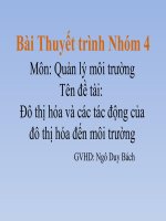 Đô thị hóa và tác động của đô thị hóa tới môi trường