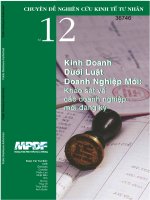 Doing business under the new enterprise law a survey of newly registered companies (vietnamese) 