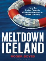 Boyes   meltdown iceland; how the global financial crisis bankrupted an entire country (2009) 