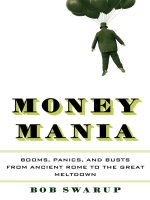 Swarup   money mania; booms, panics, and busts from ancient rome to the great meltdown (2014) 
