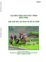 Laying the foundation for sustainable development  vietnam partnership report update   tao nen tang cho phat trien ben vung cap nhat bao cao quan he doi tac 2008 (vietnamese) 