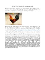 Bài văn tả con gà trống nhà em lớp 4 hay nhất