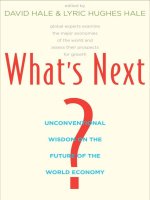 Hale  hale   whats next; unconventional wisdom on the future of the world economy (2011) 