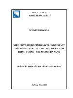 Kiểm soát rủi ro tín dụng trong cho vay tiêu dùng tại ngân hàng TMCP việt nam thịnh vượng – chi nhánh đà nẵng