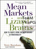 Burnham   mean market and lizard brains; how to profit from the new science of irrationality (2005) 