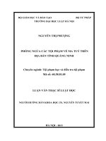 Phòng ngừa các tội phạm về ma túy trên địa bàn tỉnh quảng ninh 