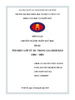 TÌM HIỂU LỚP TỪ HƯ TRONG GIA ĐỊNH BÁO (1884 – 1885)