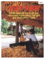 Vietnam   country assistance strategy for the period FY 2003   2006 