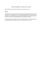 Viết bài văn ngắn tả về em chóc sóc cây xanh