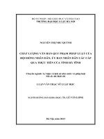 Chất lượng văn bản quy phạm pháp luật của hội đồng nhân dân, ủy ban nhân dân các cấp qua thực tiễn của tỉnh hà tĩnh  
