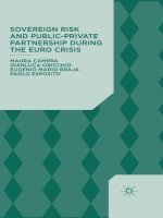 Campra et al   sovereign risk and public private partnership during the euro crisis (2014) 