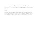 Viết đoạn văn ngắn tả về bầu trời buổi sớm dùng phép nhân hóa