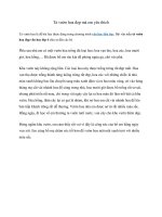 Tả vườn hoa đẹp mà em yêu thích