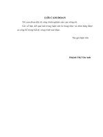 Nghiên cứu ảnh hưởng của quản trị công ty đến hiệu quả hoạt động các doanh nghiệp ngành hàng tiêu dùng niêm yết trên thị trường chứng khoán việt nam