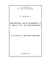Phân tích chuỗi giá trị ngành hàng sắn tại huyện Sơn Dương, tỉnh Tuyên Quang (Luận văn thạc sĩ)