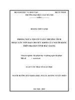 Phòng ngừa tội cố ý gây thương tích hoặc gây tổn hại cho sức khỏe của người khác trên địa bàn tỉnh bắc giang 