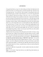 Kế toán tiêu thụ và xác định kết quả kinh doanh tại công ty TNHH MTV linh linh ht