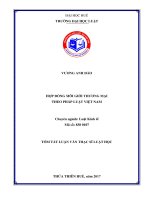 HỢP ĐỒNG môi GIỚI THƯƠNG mại THEO PHÁP LUẬT VIỆT NAM 