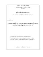 Nghiên cứu điều chế và thử nghiệm tác dụng hạ đường huyết của cao dược liệu từ râu mèo, mướp đắng và mắc cỡ  