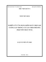 Nghiên cứu ứng dụng cặp kiểm soát chọn lọc cuống gan trong cắt gan theo phương pháp Tôn Thất Tùng (LA tiến sĩ)
